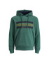 Jack&Jones Bluză Friday 12220537 Verde Regular Fit - Pled.ro