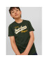 Jack&Jones Junior Tricou 12237367 Verde Regular Fit - Pled.ro