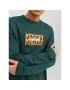 Jack&Jones Longsleeve Races 12232650 Verde Standard Fit - Pled.ro