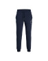 Jack&Jones Pantaloni trening Gordon 12242594 Bleumarin Regular Fit - Pled.ro