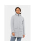 Jack Wolfskin Geacă de iarnă Tempelhof Coat 1116151 Gri Regular Fit - Pled.ro