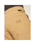 Jack Wolfskin Pantaloni outdoor Desert Valley 1504871 Bej Regular Fit - Pled.ro