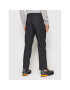 Jack Wolfskin Pantaloni outdoor Winter Travel 1505231 Negru Regular Fit - Pled.ro