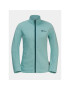 Jack Wolfskin Polar Taunus Fz 1711391 Bleumarin Regular Fit - Pled.ro