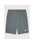 Nike Pantaloni scurți sport CV9308 Gri Regular Fit - Pled.ro