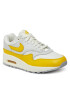 Nike Pantofi Air Max 1 DX2954 001 Colorat - Pled.ro