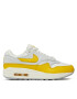 Nike Pantofi Air Max 1 DX2954 001 Colorat - Pled.ro