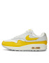 Nike Pantofi Air Max 1 DX2954 001 Colorat - Pled.ro