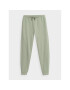 Outhorn Pantaloni trening OTHSS23TTROF182 Verde Regular Fit - Pled.ro