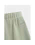 Outhorn Pantaloni trening OTHSS23TTROF182 Verde Regular Fit - Pled.ro