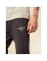 Outhorn Pantaloni trening OTHSS23TTROM189 Maro Regular Fit - Pled.ro