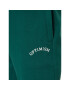 Outhorn Pantaloni trening OTHSS23TTROM189 Verde Regular Fit - Pled.ro