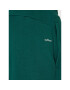 Outhorn Pantaloni trening OTHSS23TTROM189 Verde Regular Fit - Pled.ro