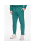 Outhorn Pantaloni trening TTROM194 Verde Regular Fit - Pled.ro