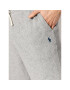 Polo Ralph Lauren Pantaloni scurți sport 710704271005 Gri Regular Fit - Pled.ro