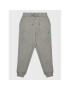 Polo Ralph Lauren Pantaloni trening 322882873002 Gri Regular Fit - Pled.ro