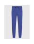 Polo Ralph Lauren Pantaloni trening 710652314050 Albastru Regular Fit - Pled.ro