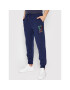 Polo Ralph Lauren Pantaloni trening 710853273001 Bleumarin Regular Fit - Pled.ro