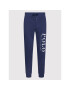 Polo Ralph Lauren Pantaloni trening 710860832001 Bleumarin Regular Fit - Pled.ro