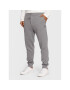 Polo Ralph Lauren Pantaloni trening 710881518005 Gri Regular Fit - Pled.ro