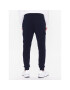 Polo Ralph Lauren Pantaloni trening 710881522007 Bleumarin Regular Fit - Pled.ro