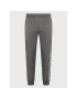 Polo Ralph Lauren Pantaloni trening 714862619003 Gri Regular Fit - Pled.ro