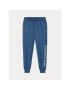 Polo Ralph Lauren Pantaloni trening 714899618001 Bleumarin Regular Fit - Pled.ro