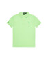 Polo Ralph Lauren Tricou polo The Earth 323780773 Verde Regular Fit - Pled.ro