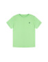 Polo Ralph Lauren Tricou Spring I 321703638 Verde Regular Fit - Pled.ro