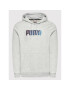 Puma Bluză Cyber Graphic 848174 Gri Regular Fit - Pled.ro