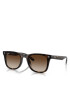 Ray-Ban Ochelari de soare 0RB4420 Maro - Pled.ro