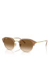 Ray-Ban Ochelari de soare 0RB4429 Maro - Pled.ro