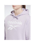 Reebok Bluză Identity Big Logo H54746 Violet Loose Fit - Pled.ro