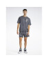 Reebok Pantaloni scurți sport Classics Block Party Shorts HS9179 Gri - Pled.ro