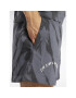 Reebok Pantaloni scurți sport Classics Block Party Shorts HS9179 Gri - Pled.ro