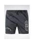 Reebok Pantaloni scurți sport Classics Block Party Shorts HS9179 Gri - Pled.ro