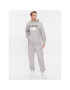 Reebok Pantaloni trening Archive Essentials IM1535 Gri Regular Fit - Pled.ro