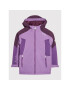 Regatta Geacă outdoor Highton RKP238 Violet Regular Fit - Pled.ro