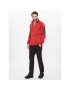 Regatta Polar Newhill RMA554 Portocaliu Regular Fit - Pled.ro