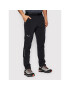 Salewa Pantaloni outdoor 27429 Negru Regular Fit - Pled.ro