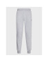 Starter Pantaloni trening SMN-306-122 Gri Regular Fit - Pled.ro