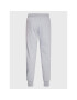 Starter Pantaloni trening SMN-306-122 Gri Regular Fit - Pled.ro