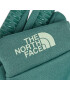 The North Face Mănuși pentru Bărbați Tnf Rino GloveNF0A55KZI0F1 Verde - Pled.ro