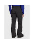 The North Face Pantaloni de schi Chakal NF0A5IYV Negru Regular Fit - Pled.ro