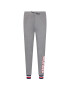 Tommy Hilfiger Pantaloni trening UW0UW02836 Gri Regular Fit - Pled.ro