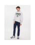 Tommy Jeans Bluză College Graphic DM0DM16804 Gri Boxy Fit - Pled.ro