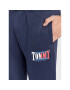 Tommy Jeans Pantaloni trening Essential Graphic DM0DM15031 Bleumarin Slim Fit - Pled.ro