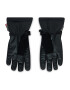 Viking Mănuși schi Hudson Gtx Gloves GORE-TEX 160/22/8282 Negru - Pled.ro