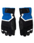 Ziener Mănuși schi Galvin As (R) Glove Ski Alpine 191000 Negru - Pled.ro