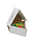 Rainbow Socks Șosete Înalte Unisex Pizza Socks Box Slice Italiana Galben - Pled.ro